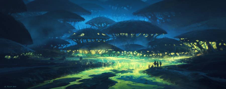 a_rocha-jellyfishvillage.jpg a_rocha-jellyfishvillage.jpg