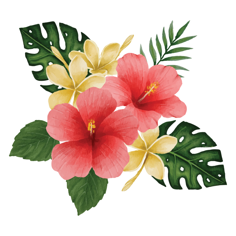 hibiscus-flower.png