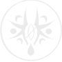 rudri.png
