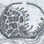 aurolismap.jpg